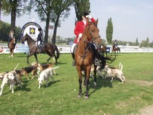 Hubertova jízda v Pardubicích