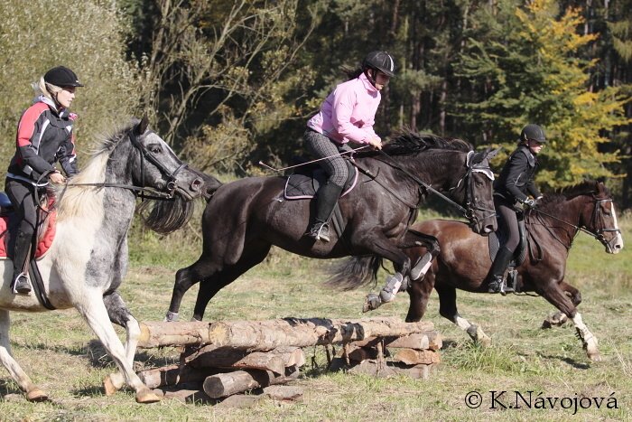 Hubert v Mrači Hubert v Mrači