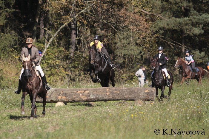 Hubert v Mrači Hubert v Mrači