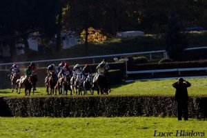 Na trati Velké pardubické ČP 2010
