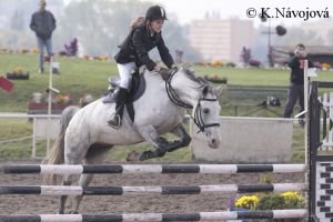 Lenka Heřmanová, Víla 4