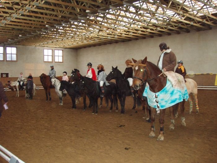 mikulášské drezury