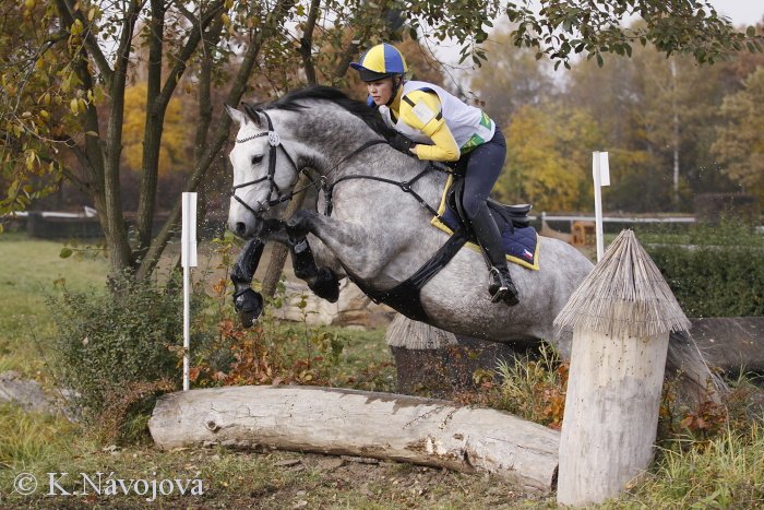 Marcela Šedá - Catango R