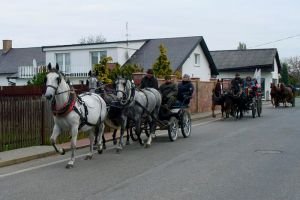 Hubert Ledce u Mladé Boleslavi