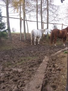 bahno za stodolou a cestička z prken