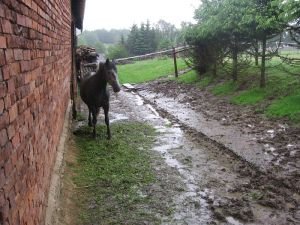 červnové bahno před stodolou