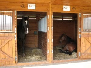 Otevřené boxy se neosvědčily