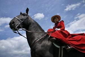 Vraník při jezdeckých dnech