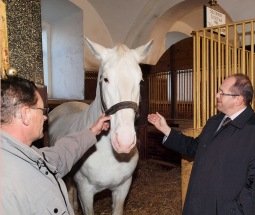 Návštěva v NH Kladruby nad Labem