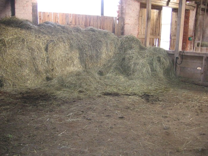 balík sena ponechaný koním volně k dispozici