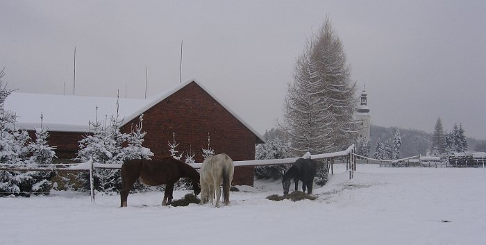 seno venku na hromádkách