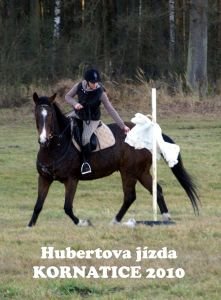 princezna obléká šaty