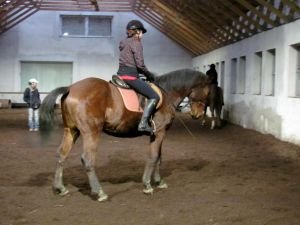 Zuzka, Jana a Shrek, Terka a Jimm