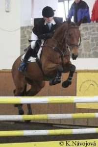 Jana Perníčková, Heidi