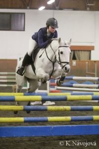 Petra Boháčová, Sandy