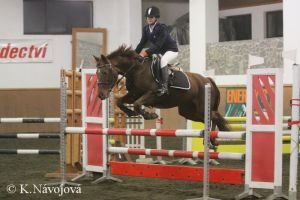 Šárka Tůmová, Tara