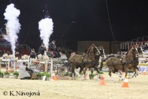 spřežení, soutěž warm-up