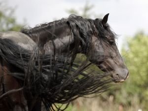 ilustrační foto: Tereza Huclová