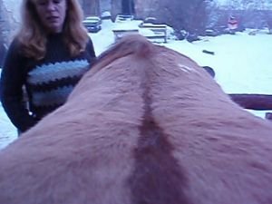 na tento hřbet bylo třeba vyrobit westernové sedlo