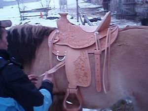 sedlo nepasuje ani jezdci