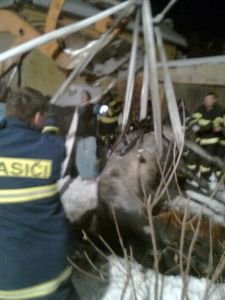 Vyproštění koně ze septiku 1