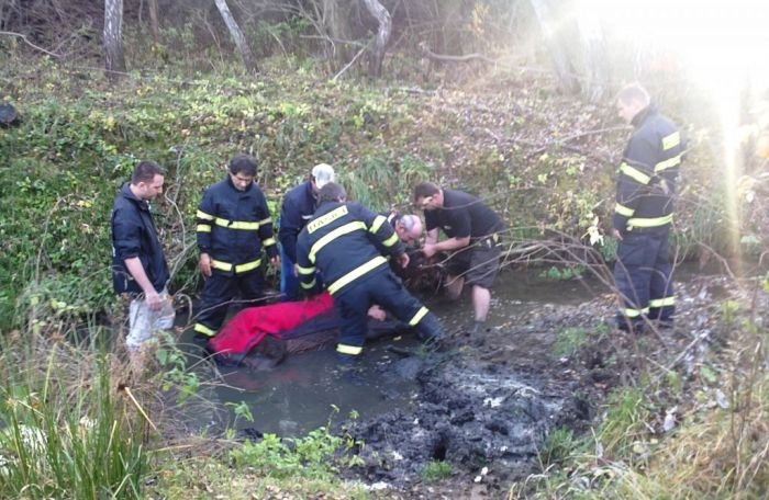 Kůň se propadl do bahna Kůň se propadl do bahna