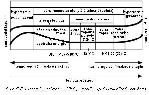 teplotní zóny koně