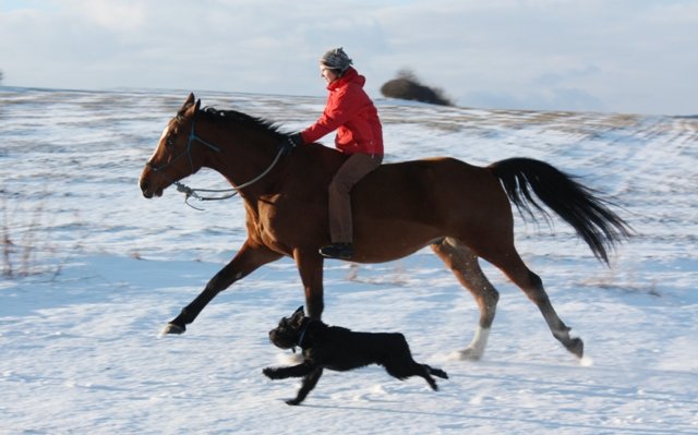 Zip v zimě 2010 Zip v zimě 2010