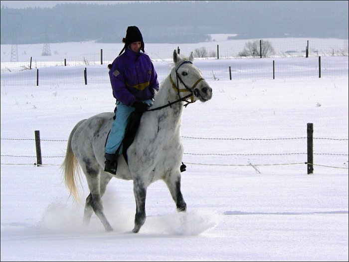 drezura ve sněhu :-) drezura ve sněhu :-)