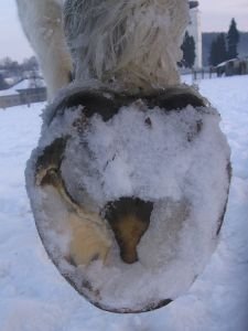 nášlapek na bosém kopytě