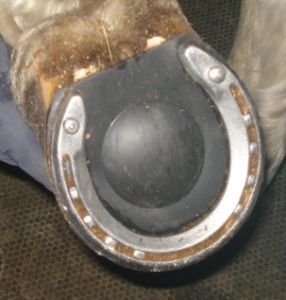 podložka proti tvorbě nášlapků podložka proti tvorbě nášlapků