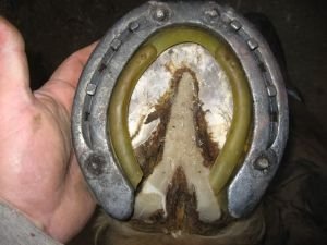 podložka proti tvorbě nášlapků