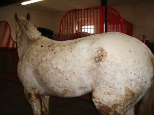 ne každý střih je hned vidět