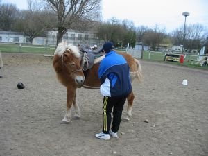 celým tréninkem se vine protahování a uvolňování koní