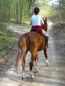 vyjížďky v terénu jsou výborným startem tréninku