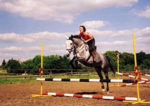 skokové řady rozvíjejí sílu koně