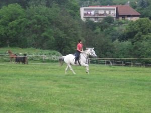 cval rozvíjí rychlost koně