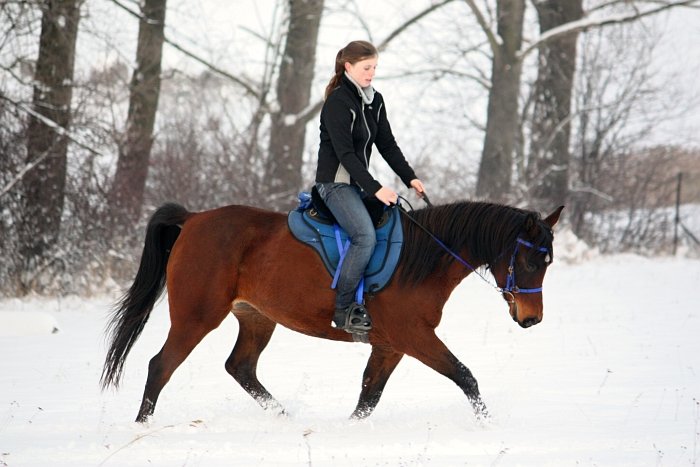 zimní přiježďování zimní přiježďování