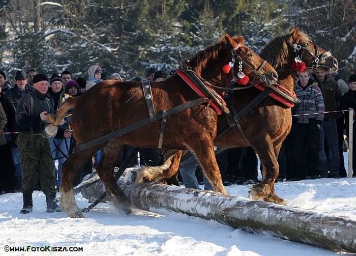 Formanské závody v Istebné 2011