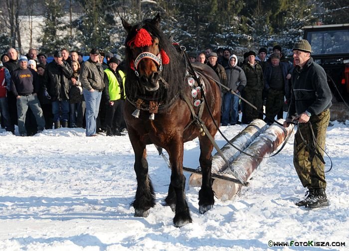 Formanské závody v Istebné 2011