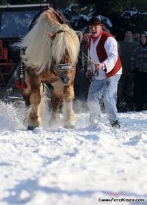 Formanské závody v Istebné 2011