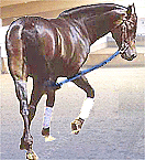 Tie-down připevněná ze strany za účelem „měkkého“ ohnutí