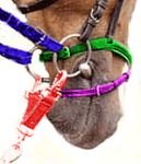 Nárazová otěže zapnutá do udidla.