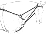 Postroj Alliance Back Lift