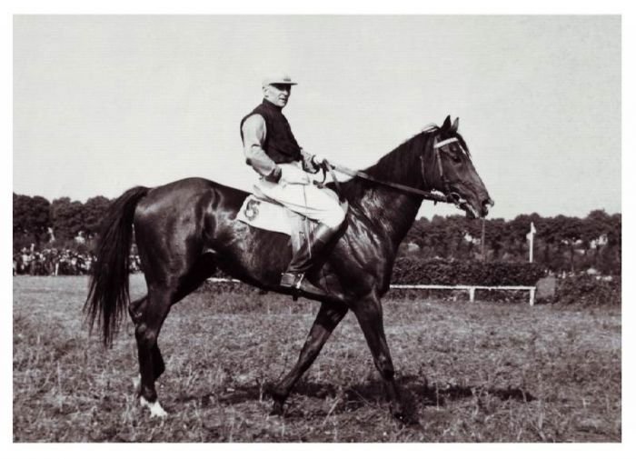 Hejmovský - dostih Hejmovský - dostih