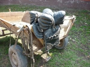 Malkinský žrebčín - čerkesské sedlo