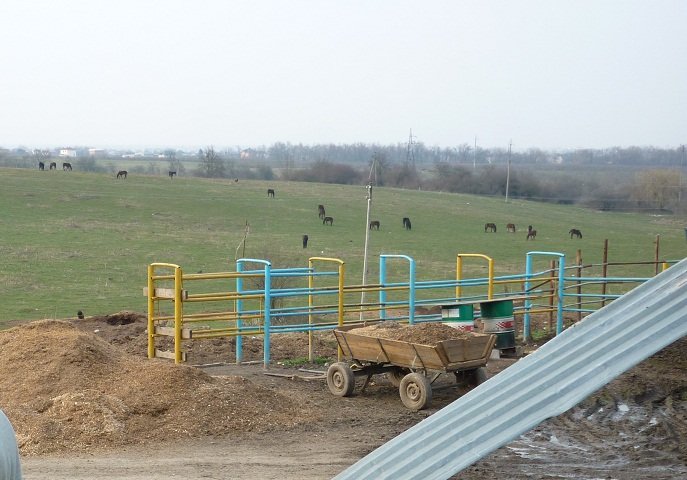 Farma pri Naľčiku Farma pri Naľčiku