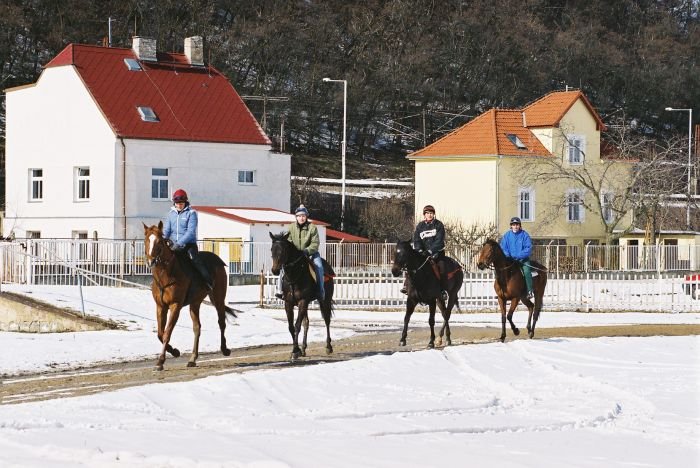 Příprava na sezonu: dostihy Příprava na sezonu: dostihy