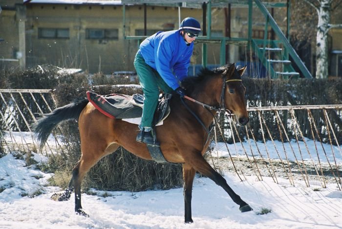 Příprava na sezonu: dostihy Příprava na sezonu: dostihy