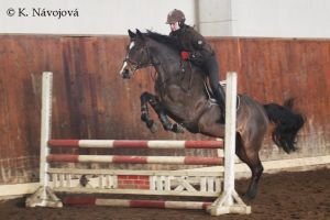 Petra Skřivanová, Looping